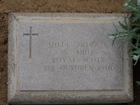 Struma Military Cemetery - Muir, W